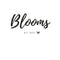 Blooms By Bee Flowers